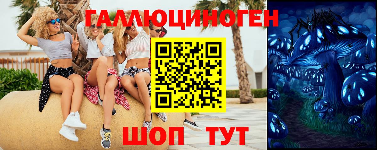 купить наркоту  Вход с VPN  Саратов  Галлюциногенные грибы MAGIC MUSHROOMS 